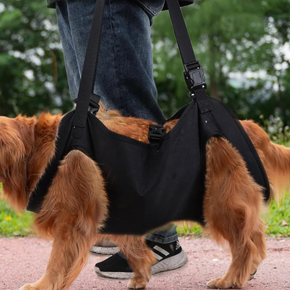 Dog Rehabilitation Training Belt, Breathable Straps - Adjustable Soft Support Sling, Helps with Surgery Recovery, Arthritis, Joint Injuries, Loss of Stability, Injured and Disabled Dogs image number 4