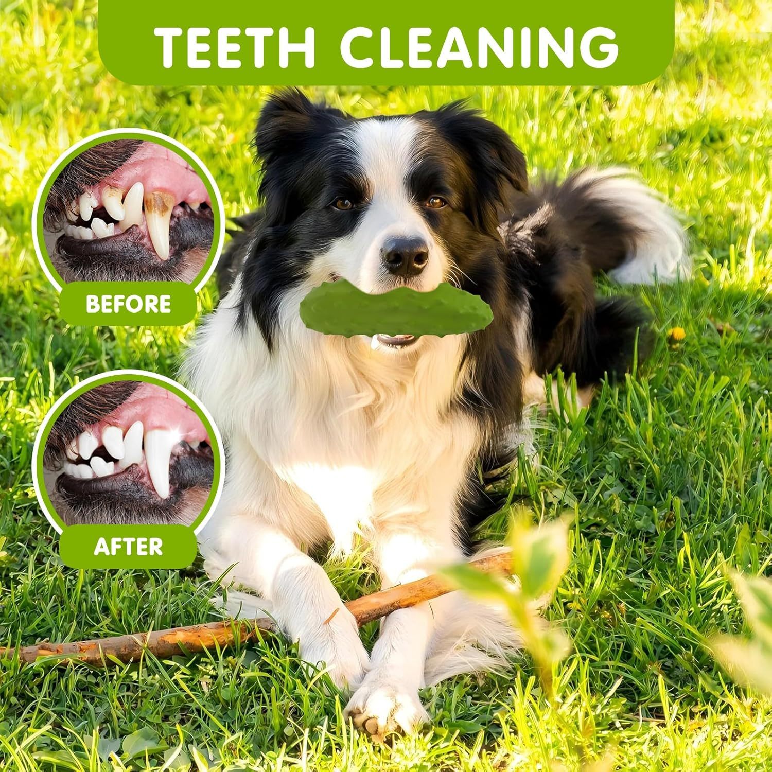 LIFLIX Tough Squeaky Dog Toys, Durable Dog Chew Toy with Natural Rubber, Teething Toys for Medium Large Breeds, Cucumber Pickle Shape