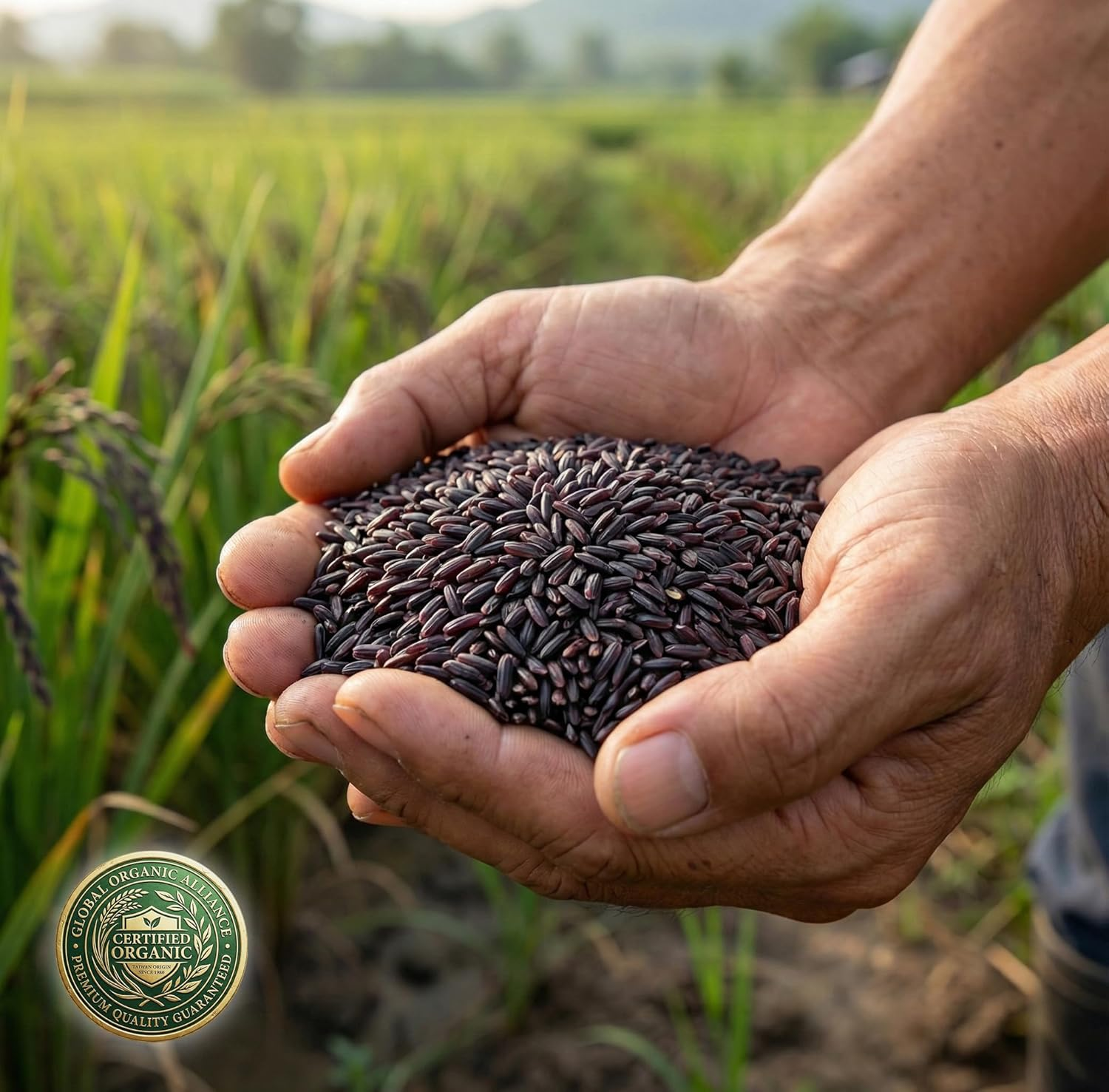 Chef'S Choice Organic Black Rice 500G image number 2