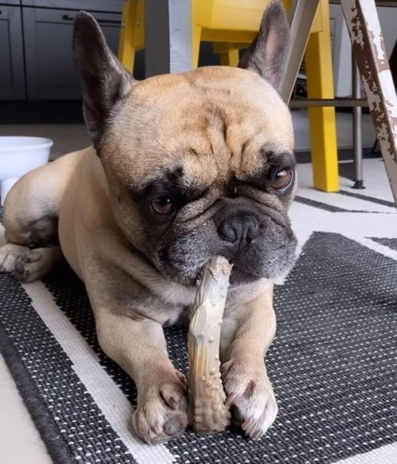 Nylabone NAN103P Power Antler Alternative Venison Chew Toy, White image number 2