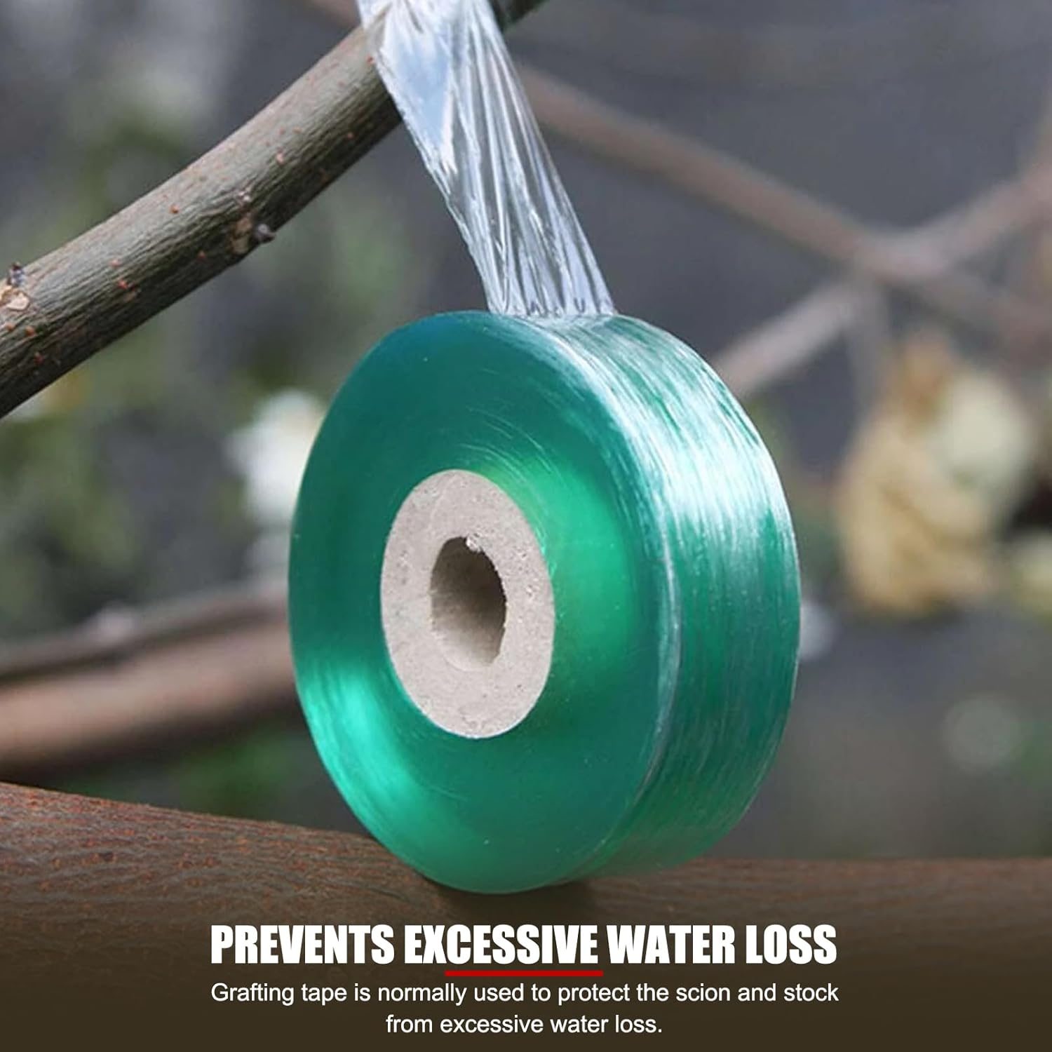 PVC Fruit Tree Parafilm Grafting Tape Nursery Buddy Tape Grafting Garden Secateurs Engraft Branch Gardening Tool 2Cmx100M Green image number 3