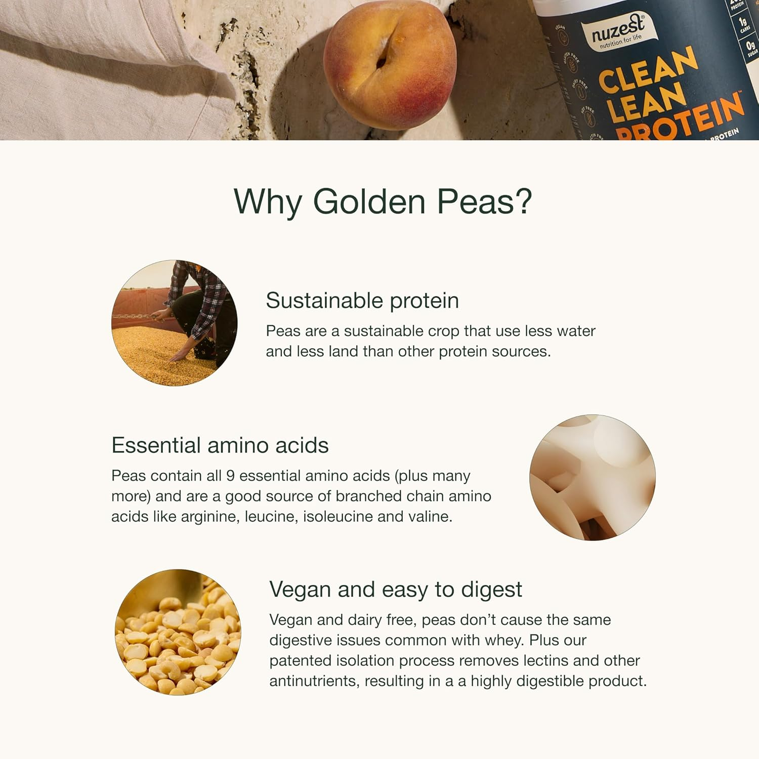 Nuzest - Pea Protein Powder - Clean Lean Protein - Vegan Protein Shake - Plant-Based Low Calorie & Low Carb - Gluten Free - Dairy Free (250G, Vanilla) image number 5