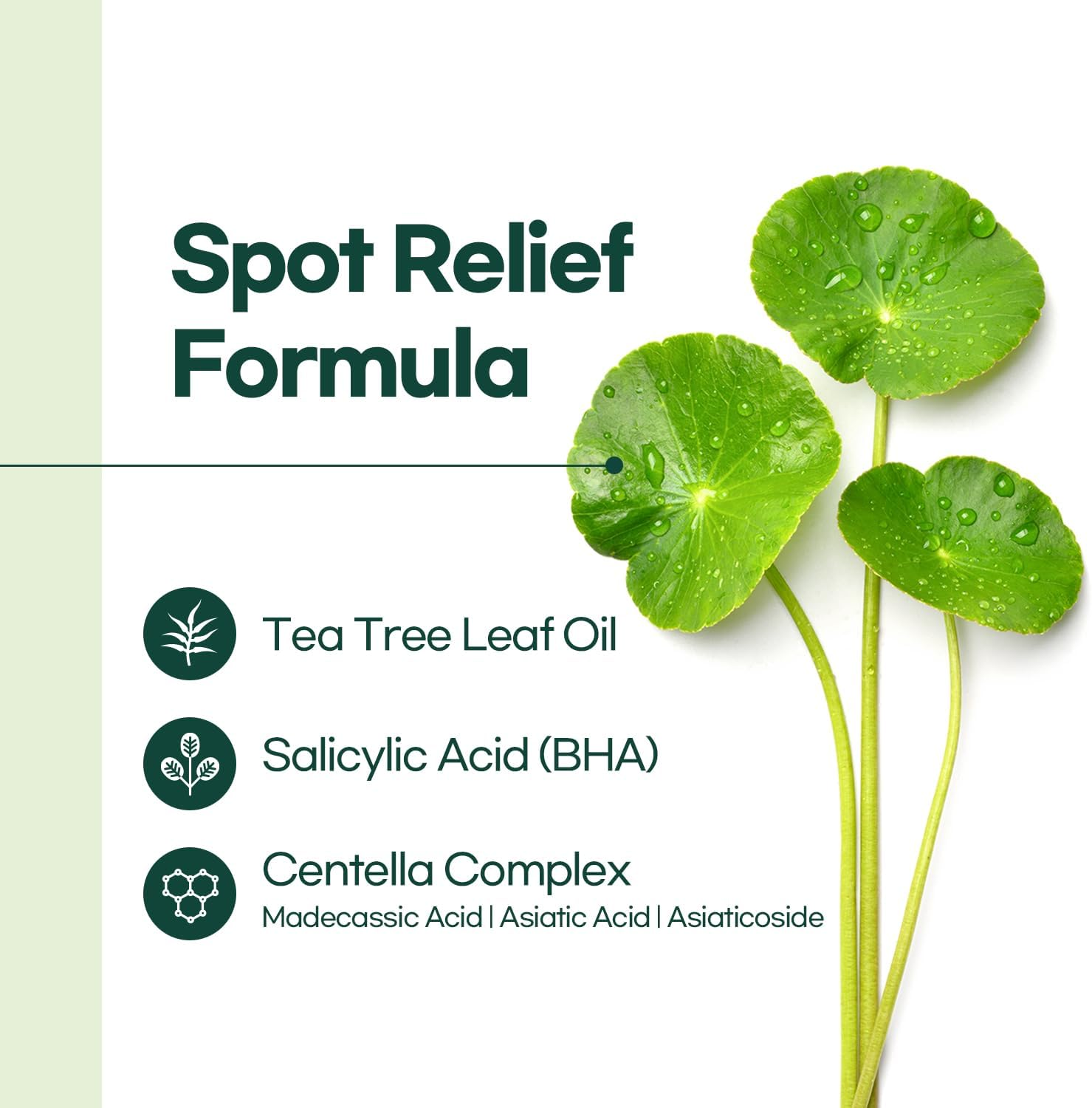 PETITFEE Centella Clearing Spot Patch (115 Count) - Invisible Hydrocolloid Spot Relief Patches for Acne Cover, Blemishes, Pimples, with Tea Tree Oil, Salicylic Acid Spot Patch, Beveling Patch, 2 Size image number 2