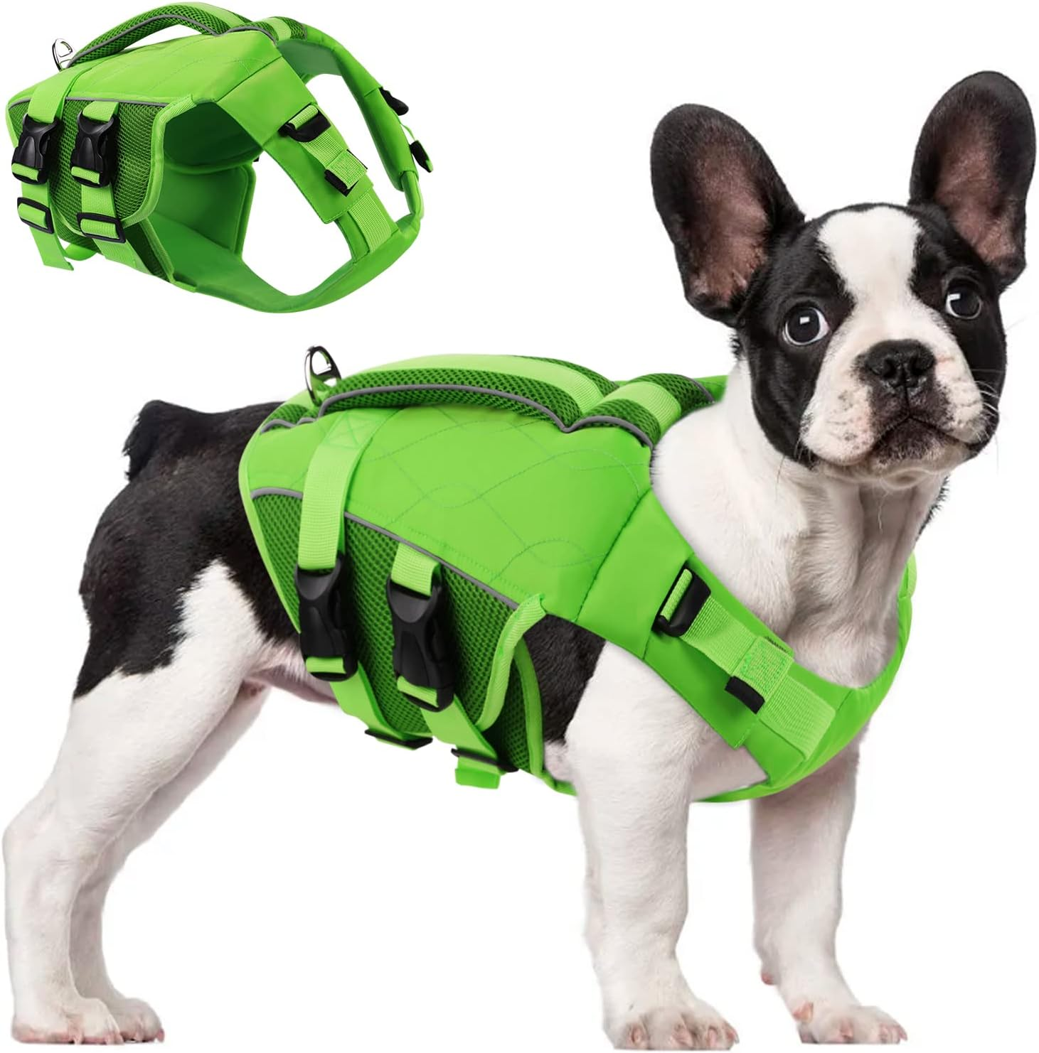 ASENKU Dog Life Jacket - Pet Safety Vest for Swimming & Boating, Shark Life Jacket with Floatation, Dog Lifesavers Swimsuits for Small Medium Large Dogs (Green, XS)