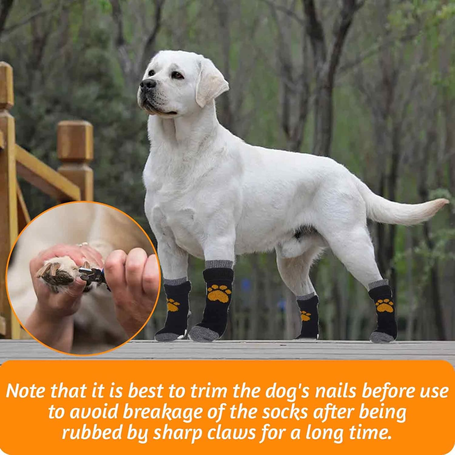 Dog Stop Licking Paws Socks, 2Pairs Dog Injured Paw Protectors, Dog Socks, Dog Paw Bandage, Dog Paw Protectors image number 6