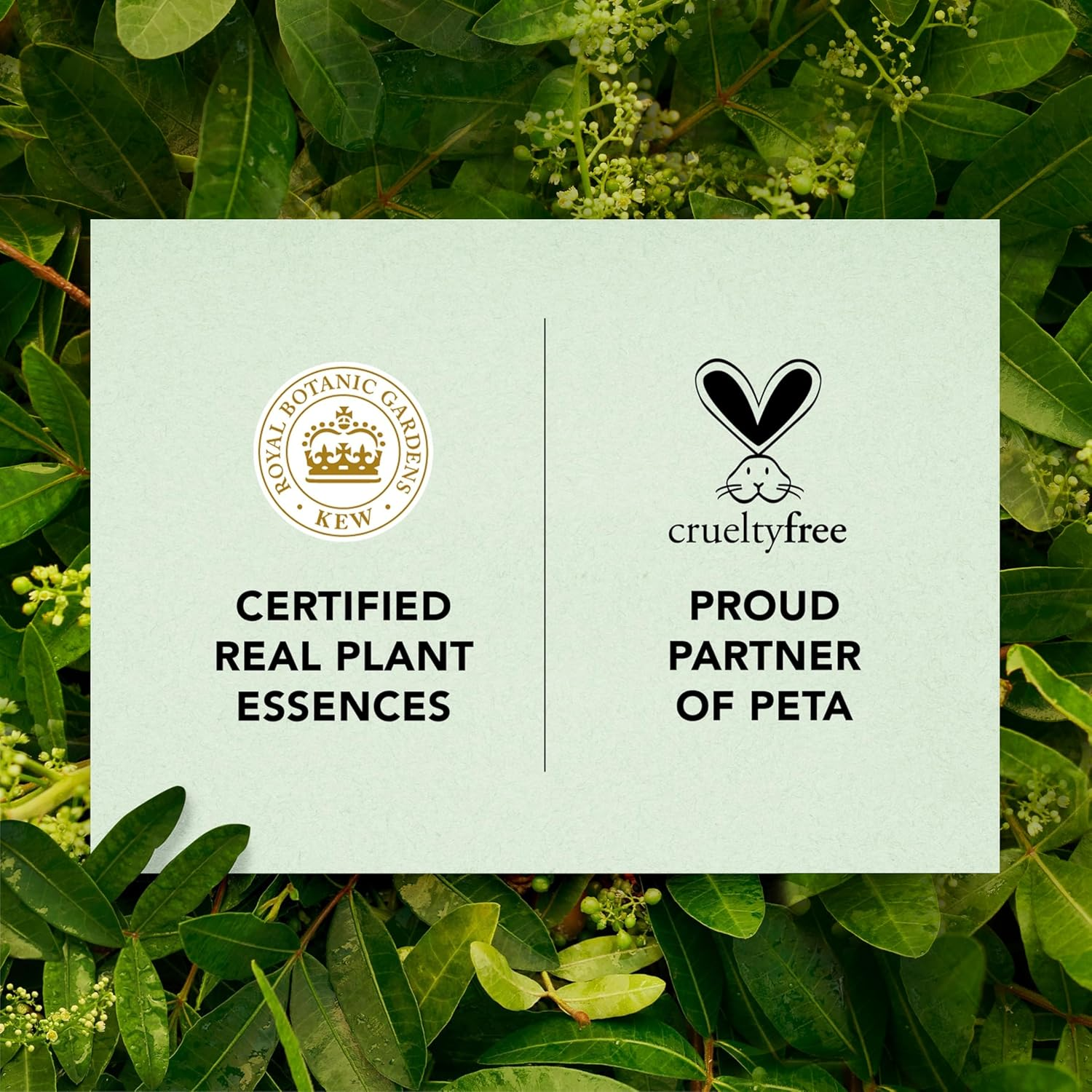 Herbal Essences Treatment Bio: Renew Hair Oil Blend Coconut & Aloe Hydrate, 100 Ml image number 4