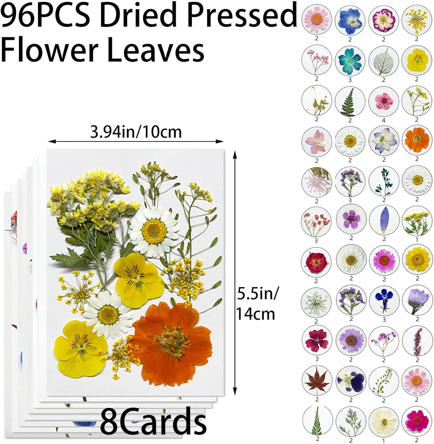 REGODI 96Pcs（8 Sheets） Dried Pressed Flowers & Leaves for Crafts - Natural Dry Flowers for Resin Art, DIY Jewelry, Candle & Soap Molds, Phone Case Decor (Pressed Flowers, Dried Flowers Crafts) image number 2