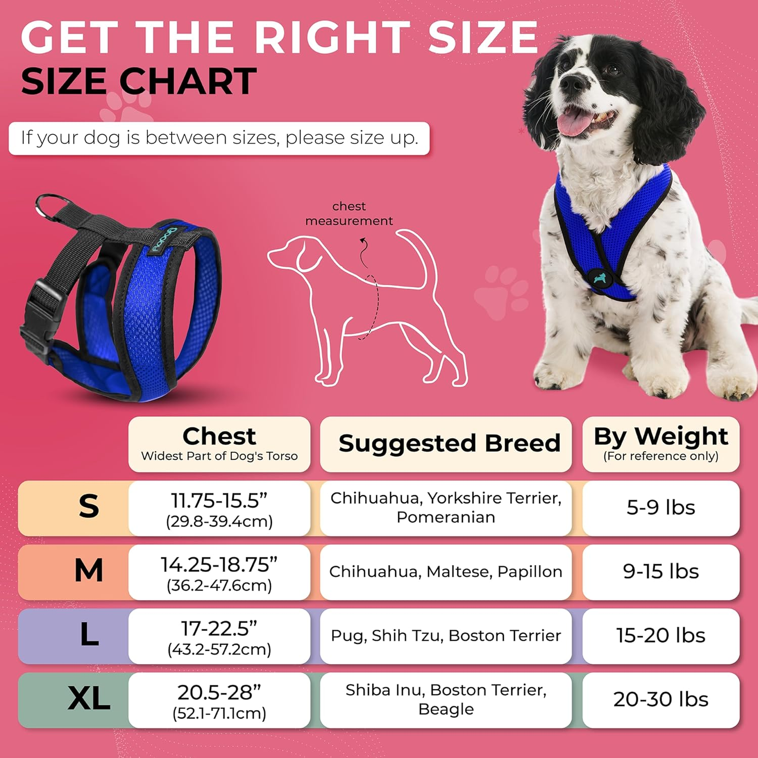 Gooby - Comfort X Head-In Harness, Choke Free Small Dog Harness with Micro Suede Trimming and Patented X Frame, Blue, Medium image number 6