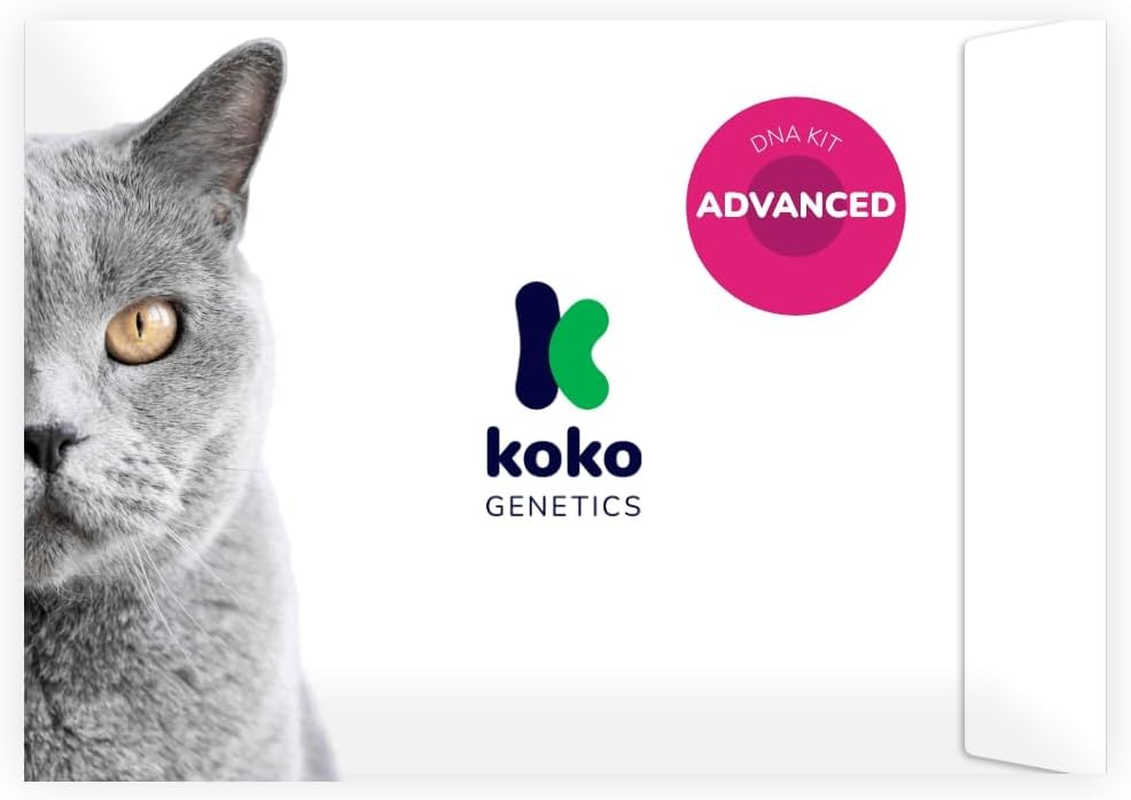 Koko Genetics DNA Test for Cats Advanced - (+150 Reports of Breeds, Health and Traits) - Upgrades at No Cost image number 4