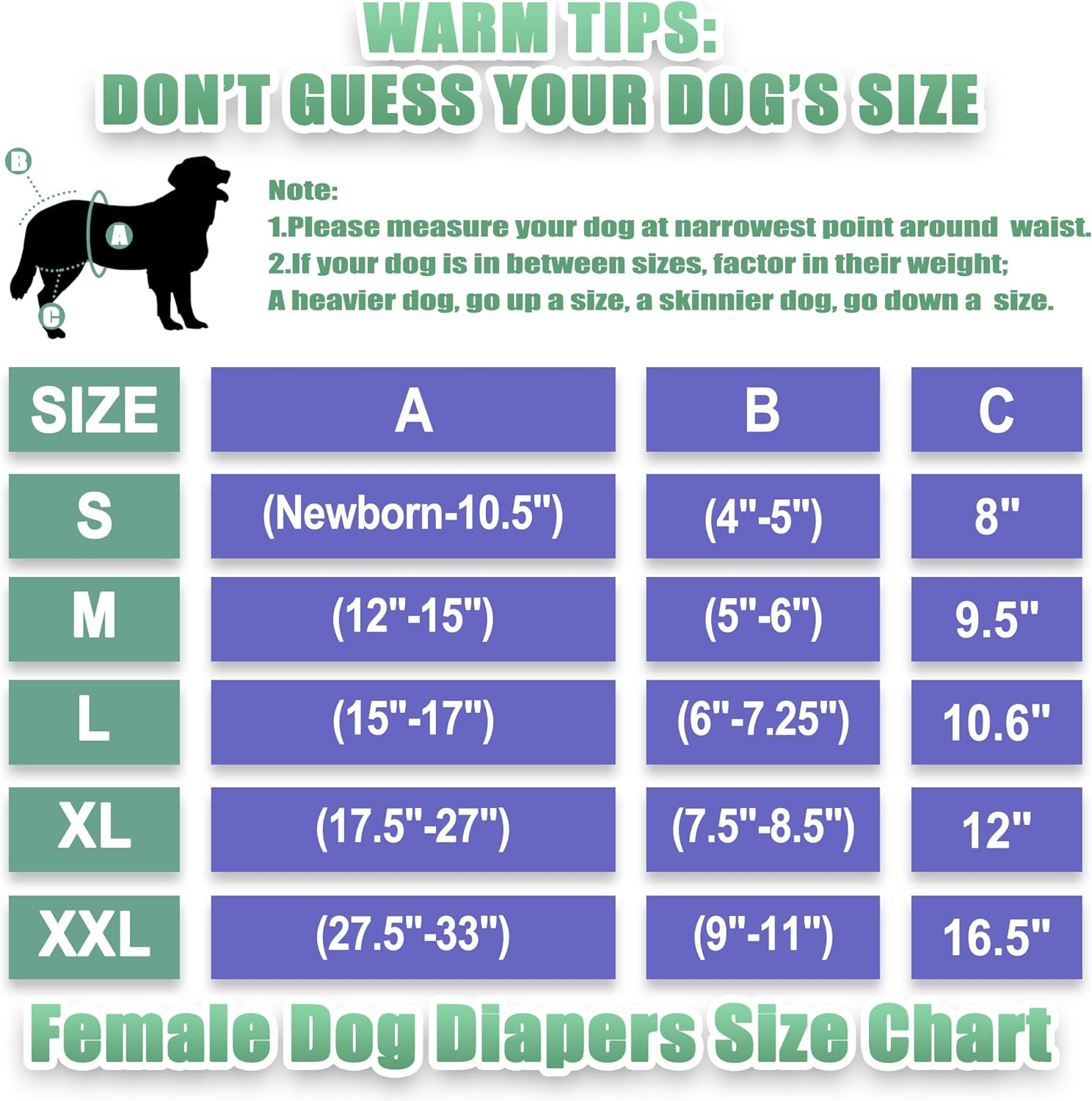 Wegreeco Washable Reusable Premium Female Dog Diapers, Small Medium Large Size,For Female Dog, Pack of 3,Small Dog Doggie Puppy & Doggy Diapers Female,Dog Period Panties Diapers Female in Heat image number 5