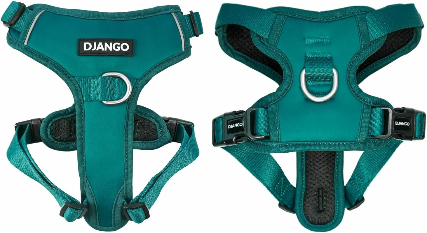 Django Tahoe No Pull Dog Harness &ndash; Comfortable, Durable, & Padded Dog Harness with Front & Back D-Rings &ndash; Adjustable & Secure Harness for Outdoor Adventures & Everyday Use (Alpine Blue, Small)