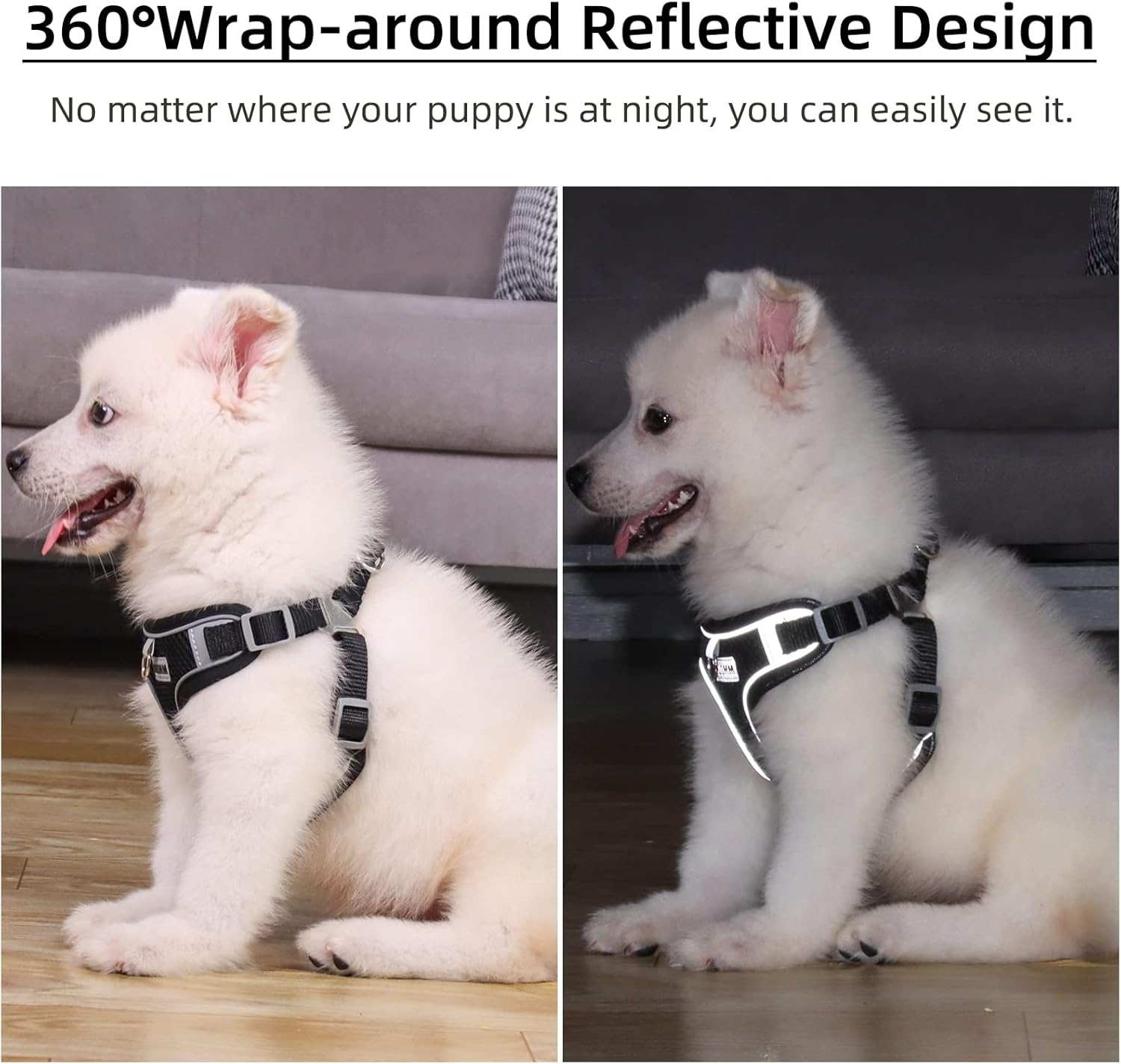 Rennaio Dog Harness No Pull, Adjustable Puppy Harness with 2 Leash Clips, Ultra Breathable Padded Dog Vest Harness, Reflective Dog Harness and Leash Set for Small and Medium Dogs (Black, S) image number 5