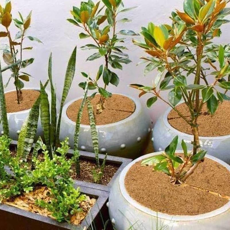 Mipcase 6 Pack Coconut Coir Mulch Ring Mats for Pots Plant Cover Mulch Mats Flower Pot Liner Round