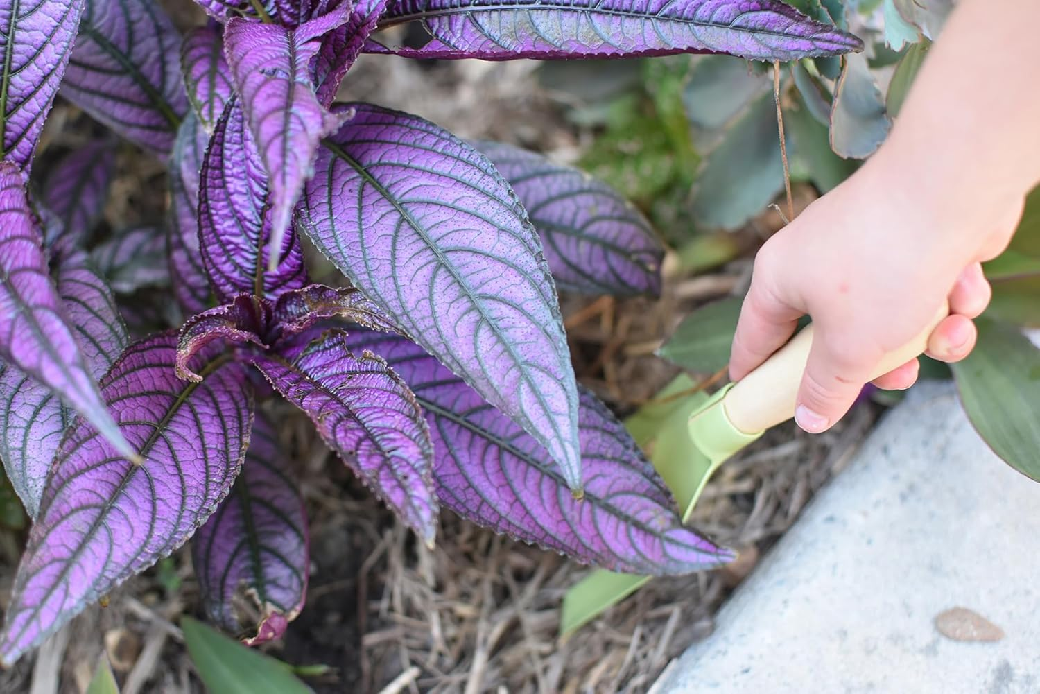 Kaper Kidz Garden Belt with Tools and Name Tag Set image number 1