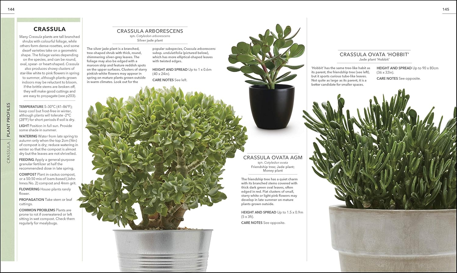 RHS Practical Cactus and Succulent Book: How to Choose, Nurture, and Display More than 200 Cacti and Succulents