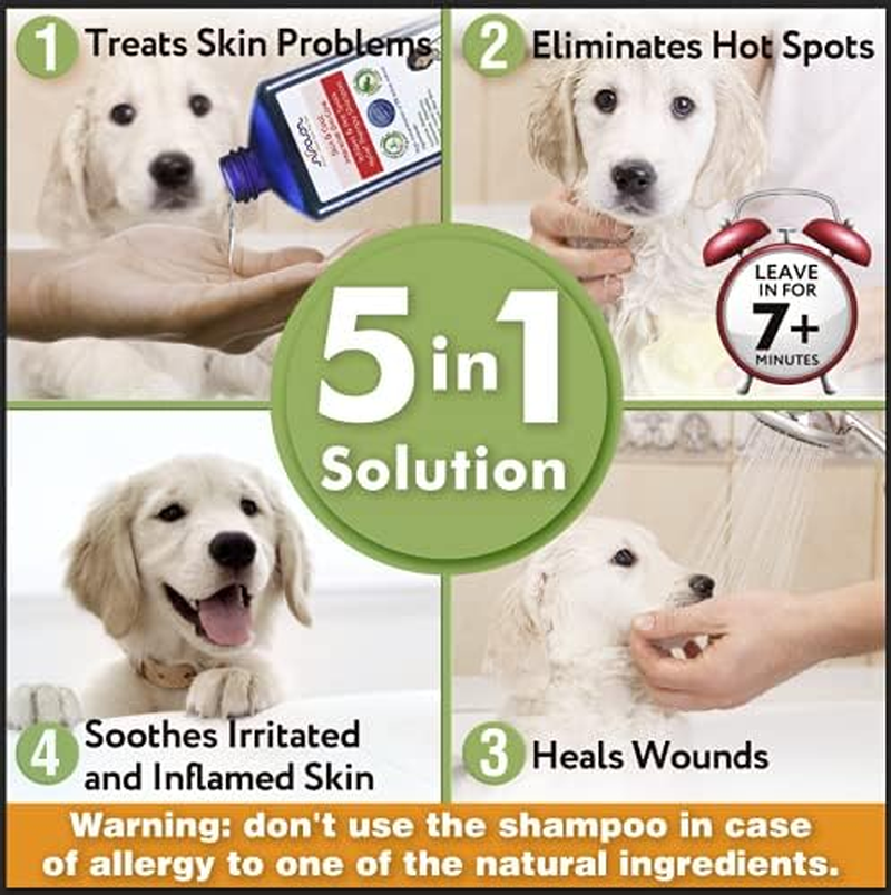 Arava Natural Medicated Dog Shampoo &ndash; anti Yeast anti Itch Dog Shampoo - Healthy Skin & Coat - First Aid in Hot Spots Ringworm Scrapes Abrasions & Dermatologic Infections image number 5