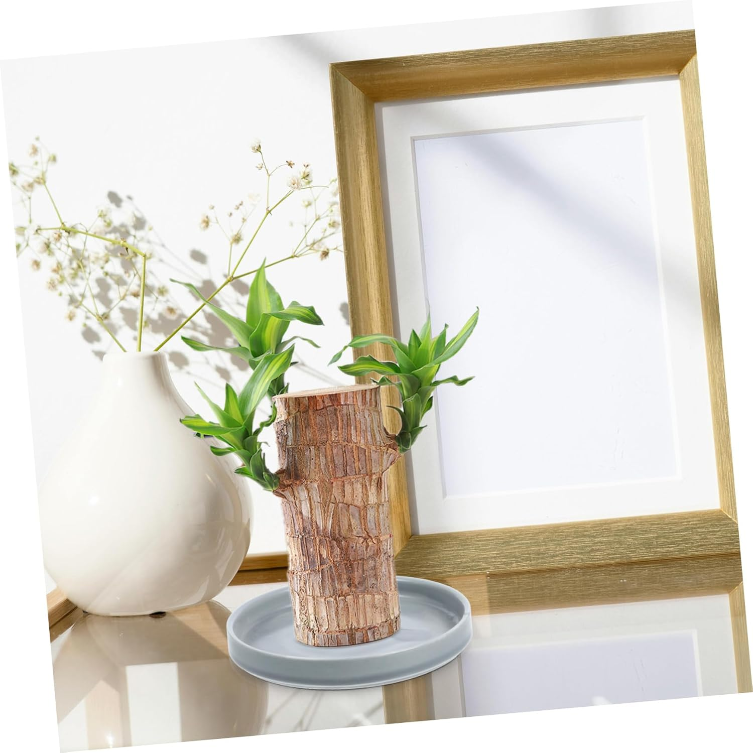 IWOWHERO Flower Pot Drainage Tray Potted Plants Saucer Stable Base for Types of Gardening image number 5