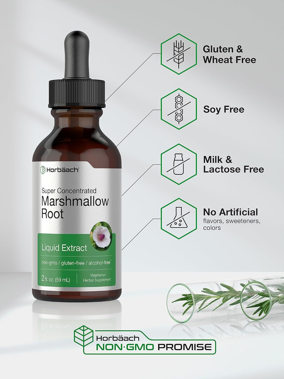 Marshmallow Root Liquid Extract | 2 Fl Oz | Althaea Officinalis | Alcohol Free | Vegetarian, Non-Gmo & Gluten Free | by Horbaach