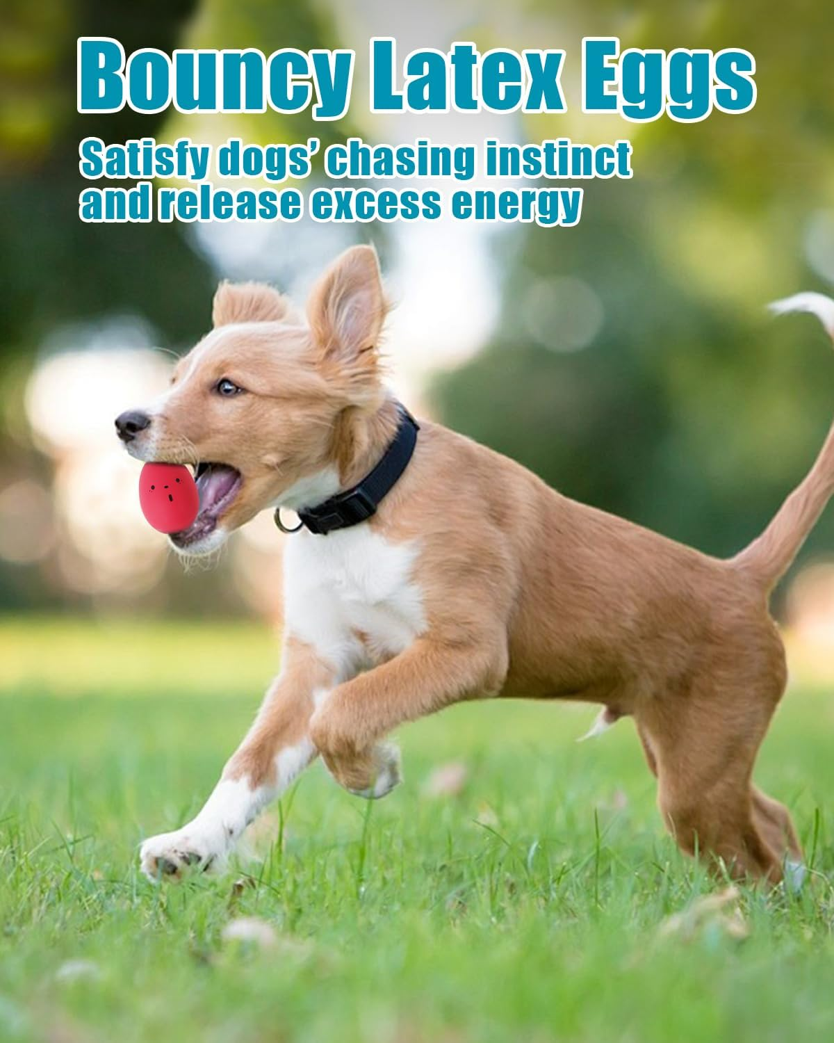 Dog Toys Squeaky, Interactive Funny Puppy Ball Pack, Latex Rubber Squeak Pet Toy Egg Balls for Puppies Small Medium Breed Dogs image number 1