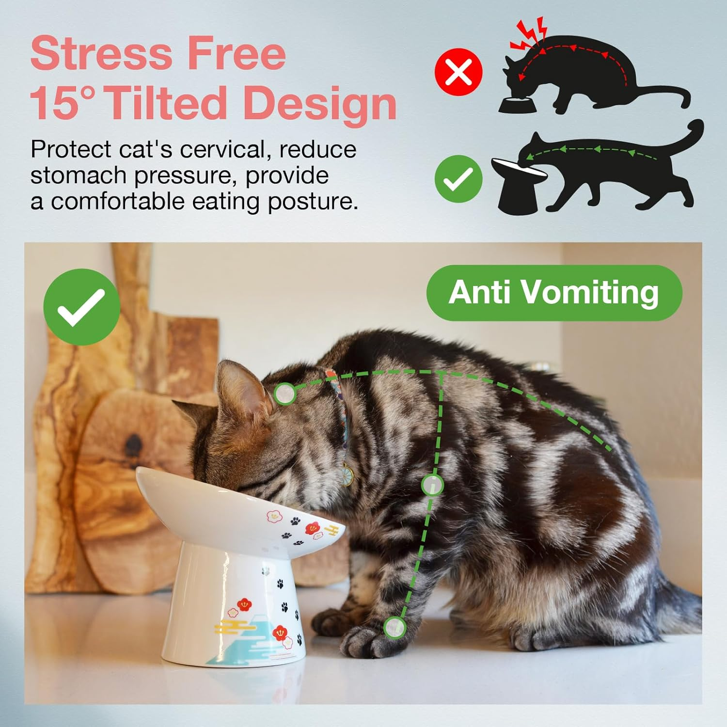 Necoichi Extra Wide Raised Cat Food Bowl, Elevated, Prevent Neck & Whisker Fatigue, Dishwasher and Microwave Safe, No.1 Seller in Japan! (Fuji Limited Edition, Extra Wide Tilted) DC-0715-NY18 image number 5