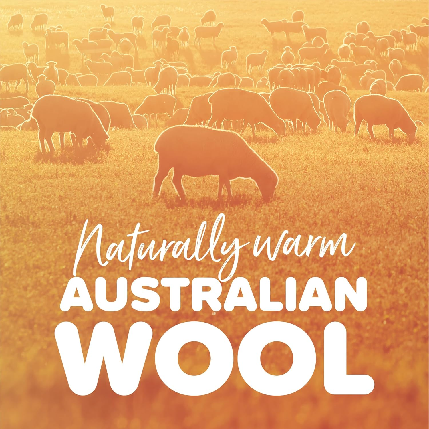 Tontine Medium Weight Australian Wool All Seasons Quilt, Single &ndash; Natural Cotton Cover for Breathability &ndash; Wool Fill Resists Dust Mites &ndash; Ideal for Asthma & Allergies image number 1