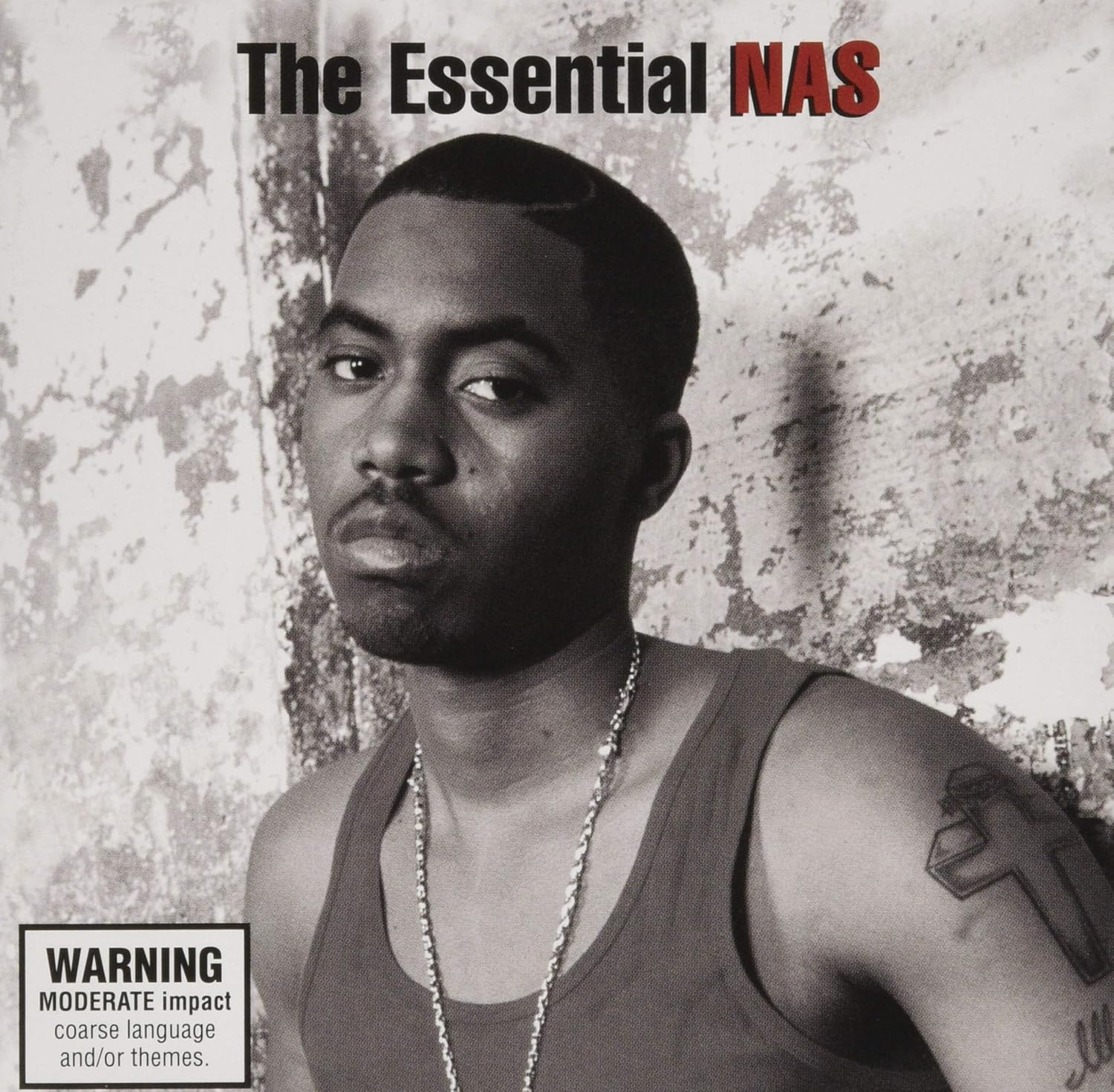 THE ESSENTIAL NAS image number 1