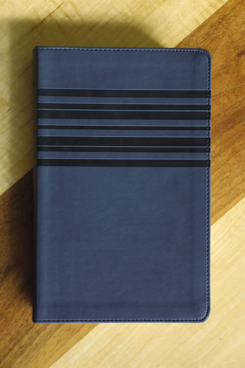 Large Print Bible-Nirv image number 4