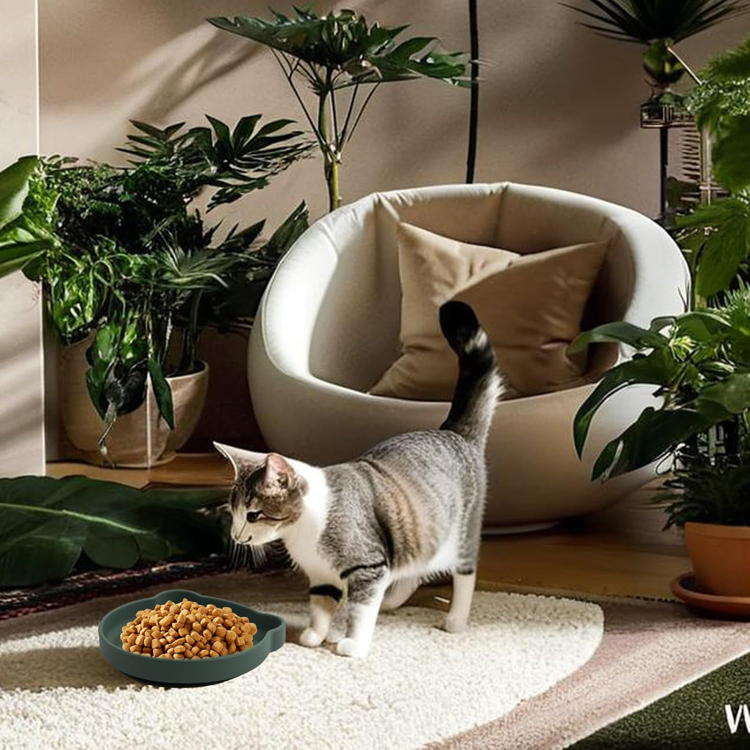 Dokeno Silicone Cat Bowl Flat Feeding Bowl for Dry Food and Wet Food Non-Slip Cat Bowls with Suction Cup Food Bowl Flat for Dogs Cats Pets image number 5