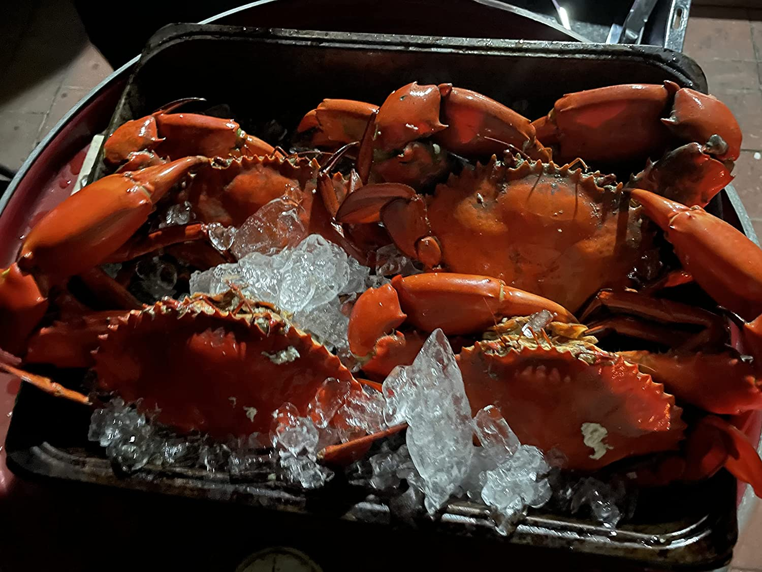 BOWRIDER Crab Trap image number 4