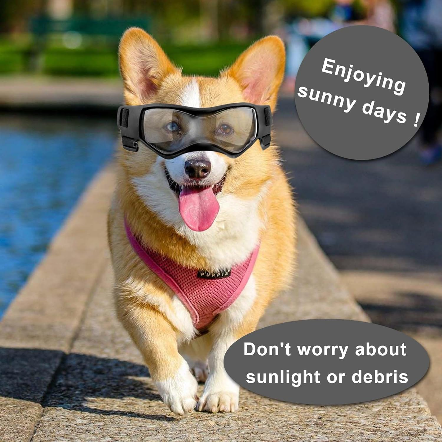 Small Breed Dog Sunglasses, Dog Goggles for Small Dogs Windproof Anti-Fog Dog Glasses Adjustable Dog Goggles for Pet Small Medium Dogs Outdoor Eye Protection (Black) image number 5