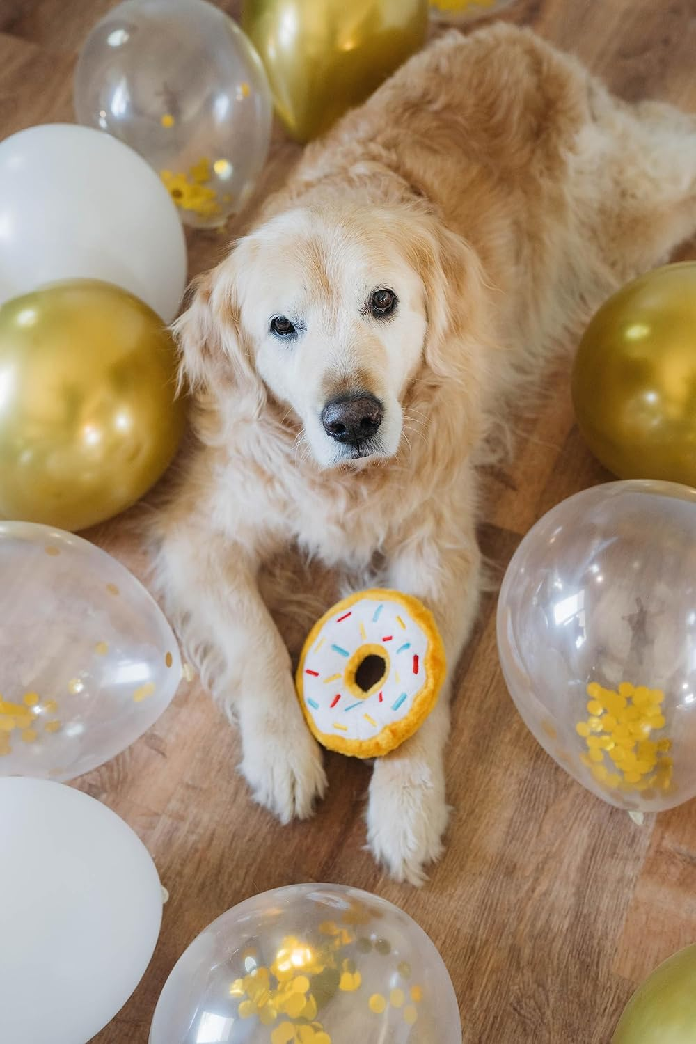 Zippypaws Donutz Dog Birthday Gift Dog Toy, 17.8 X 17.8 X 5.1 Cm Size