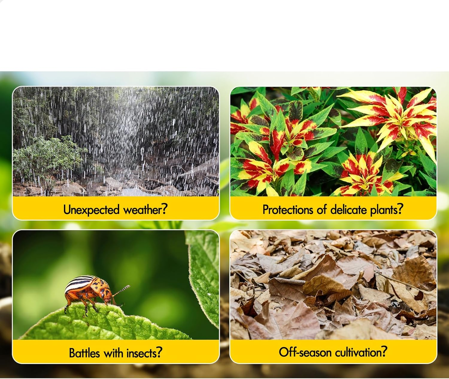 ALFORDSON Greenhouse Garden Transparent Shed with Sliding Door, Walk-In Tunnel Green House with Adjustable Roof Vent, Aluminium Steel Frame Grow Tent for Gardening Plant Flowers, 252X127X218Mm image number 3