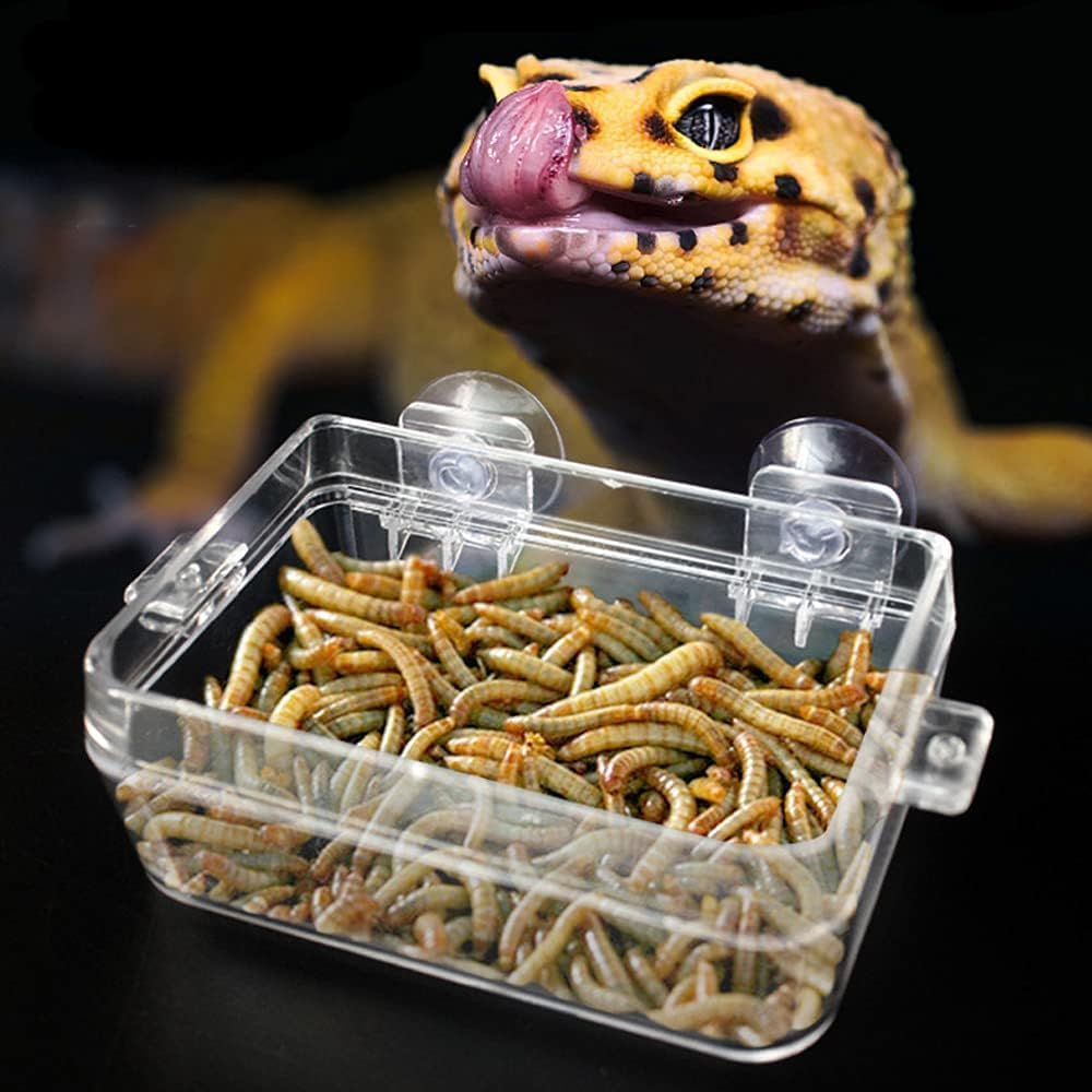 Escape Proof Reptile Feeding Box, 1Pc Anti-Escape Bowls Transparent Reptile Water Bowl with Suction Cup,Anti-Escape Worm Water Dish with Suction Cup image number 2