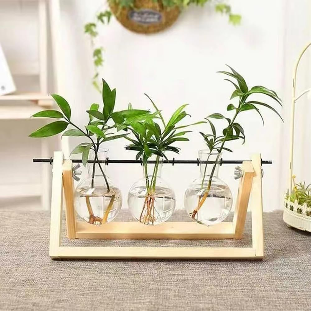 Plant Terrarium Wooden Stand Propagation Stations Glass Hydroponics Bulb Vase Desk Plants Holder for Gardening Office Home Decor 3 Glass Vase image number 5