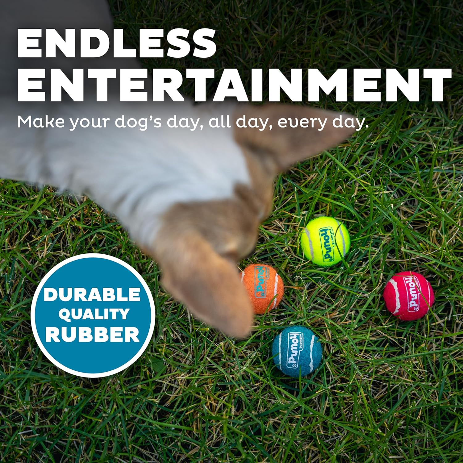 Outward Hound Squeaker Ballz Fetch Dog Toy, XS, 8-Pack image number 6