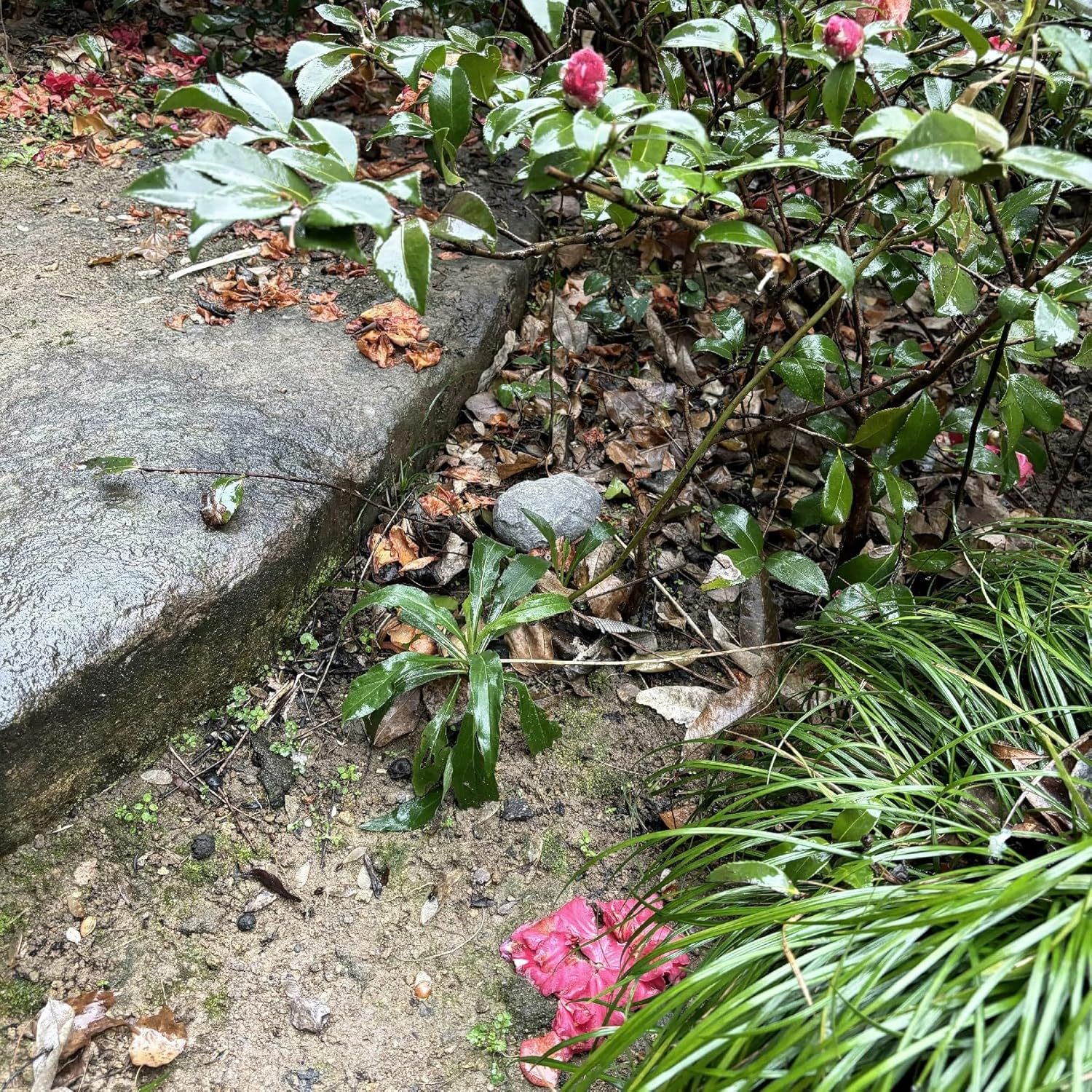 Hide a Key Fake Rock Safe Holder Realistic Stone Hider Keybox for Outdoor Garden image number 1