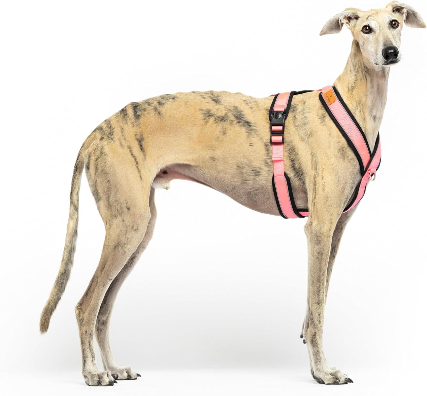 Reflective Y Shaped Dog Harness Ideal for Libreles: Italian Greyhound Whippet Greyhound Podenco - Safe, Breathable and Durable, Perfect for Hiking, Training and Running, Pink, M image number 6