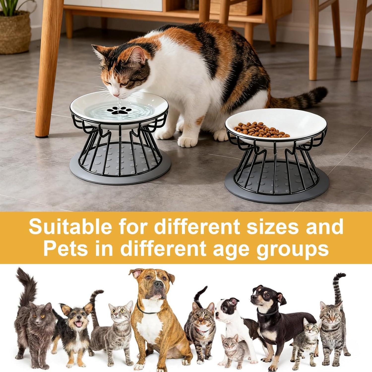 Set of 2 Raised Cat Bowls with Metal Stand, Cat Bowls, Feeding Bowl, Cat Set with Raised Stand, Metal Holder, Pet Feeding Bowl, anti Vomiting Cat Bowl for Cats and Puppies image number 3