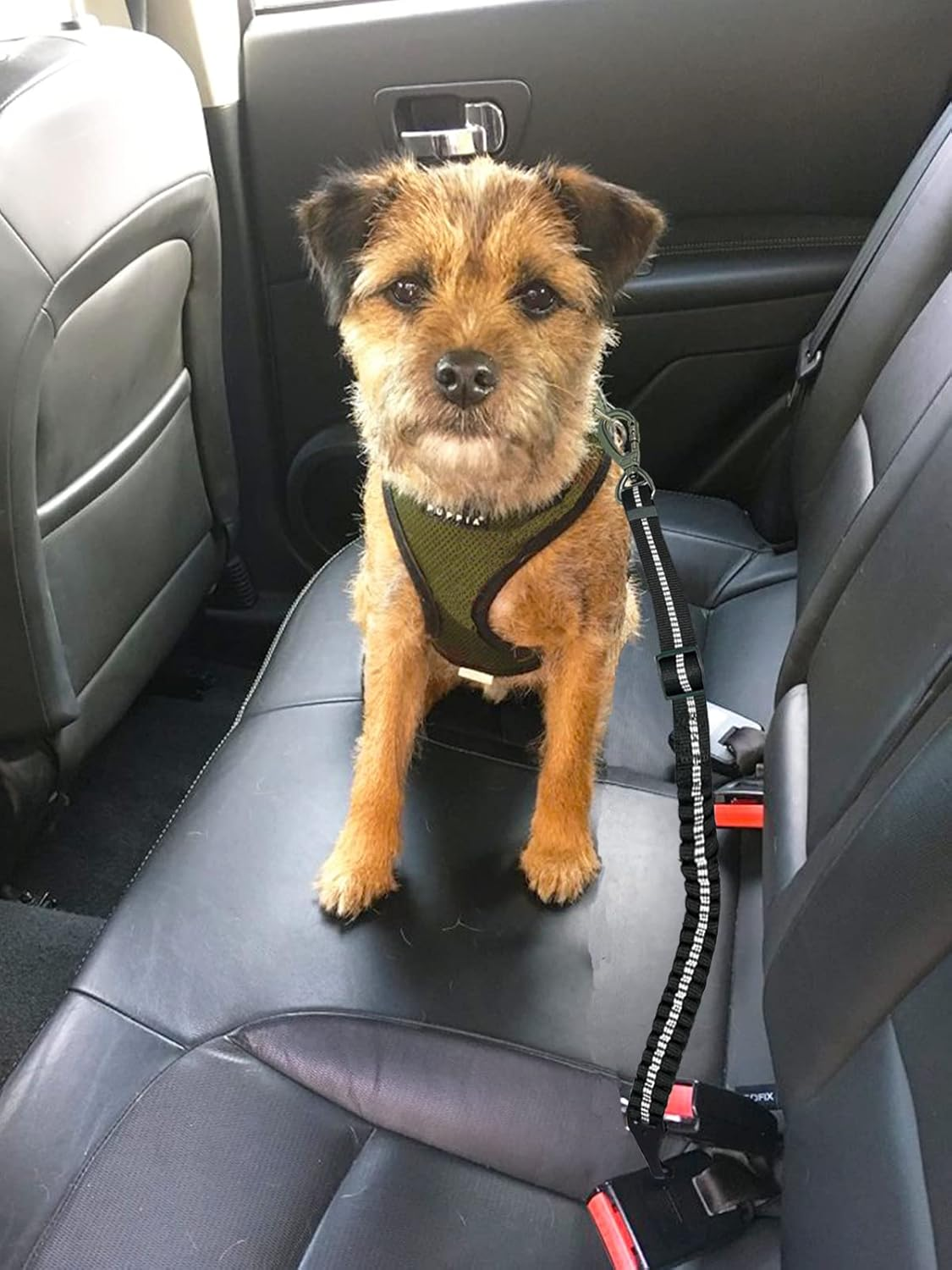 Dog Seat Belt, Universal Safety Harness for Dogs with Improved Carabiner, Adjustable Wiring Harness for Dogs with Anti-Shock Buffer (Lite) image number 6