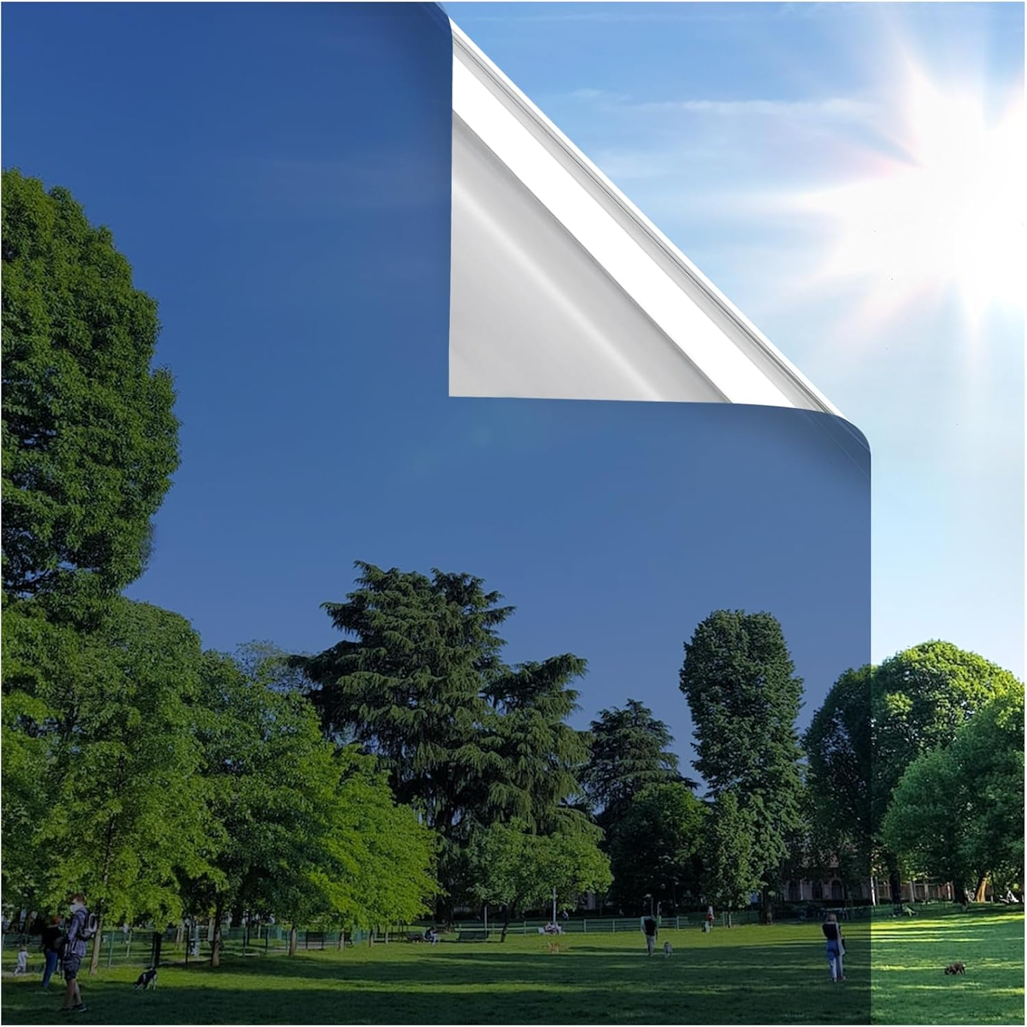 Rabbitgoo Blackout Window Film Privacy Window Cling Dark Window Tinting Film Non-Adhesive Window Sticker Light Blocking (Matte Black, 44.5 X 200 Cm)