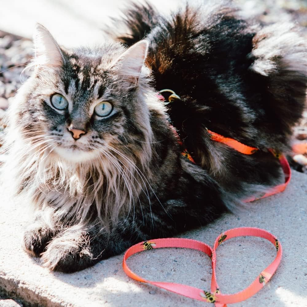 Anipal Bertie the Bee Cat Collar - XS - Made from Recycled Plastic Bottles image number 2