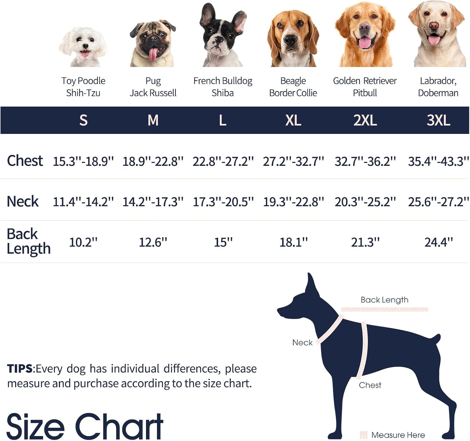 Iecoii Dog Recovery Suit - Soft Surgical Onesie for Post-Surgery Dogs, Protects Abdominal & Rear Leg Wounds, Stops Licking, L-Rosered image number 7