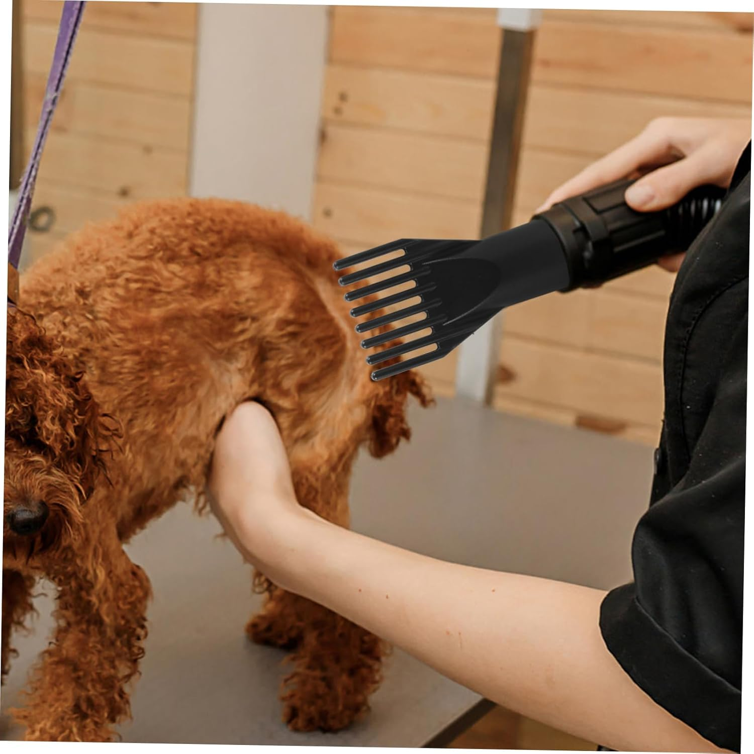 Healeved 3Pcs Hair Dryer Comb Pet Grooming Hair Dryer Attachment Styling Tool for Hairdressing