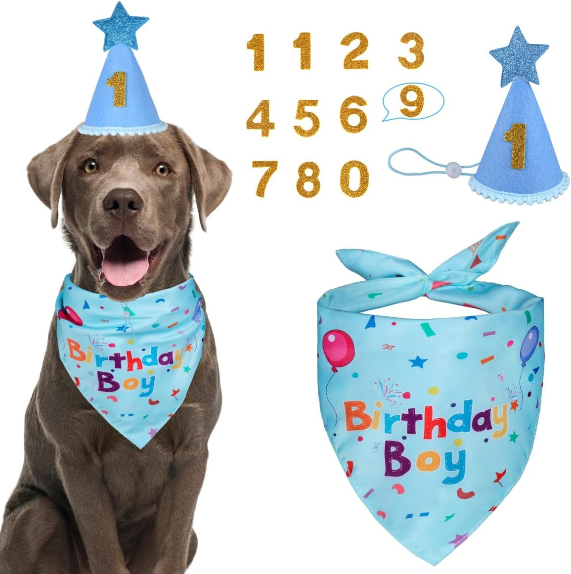Dog Birthday Bandana & Hat Set, Blue, Medium, Dog Accessories