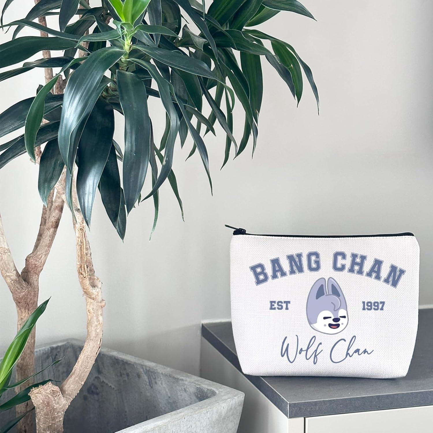 Korean Pop Gift K-Pop Group Merch Kpop Boys Group Est 1997 Wolf Chan Makeup Bag K-Pop Music Lover Gift, Wolf Chan Bag Eu, Cosmetic Bag with Printing image number 1