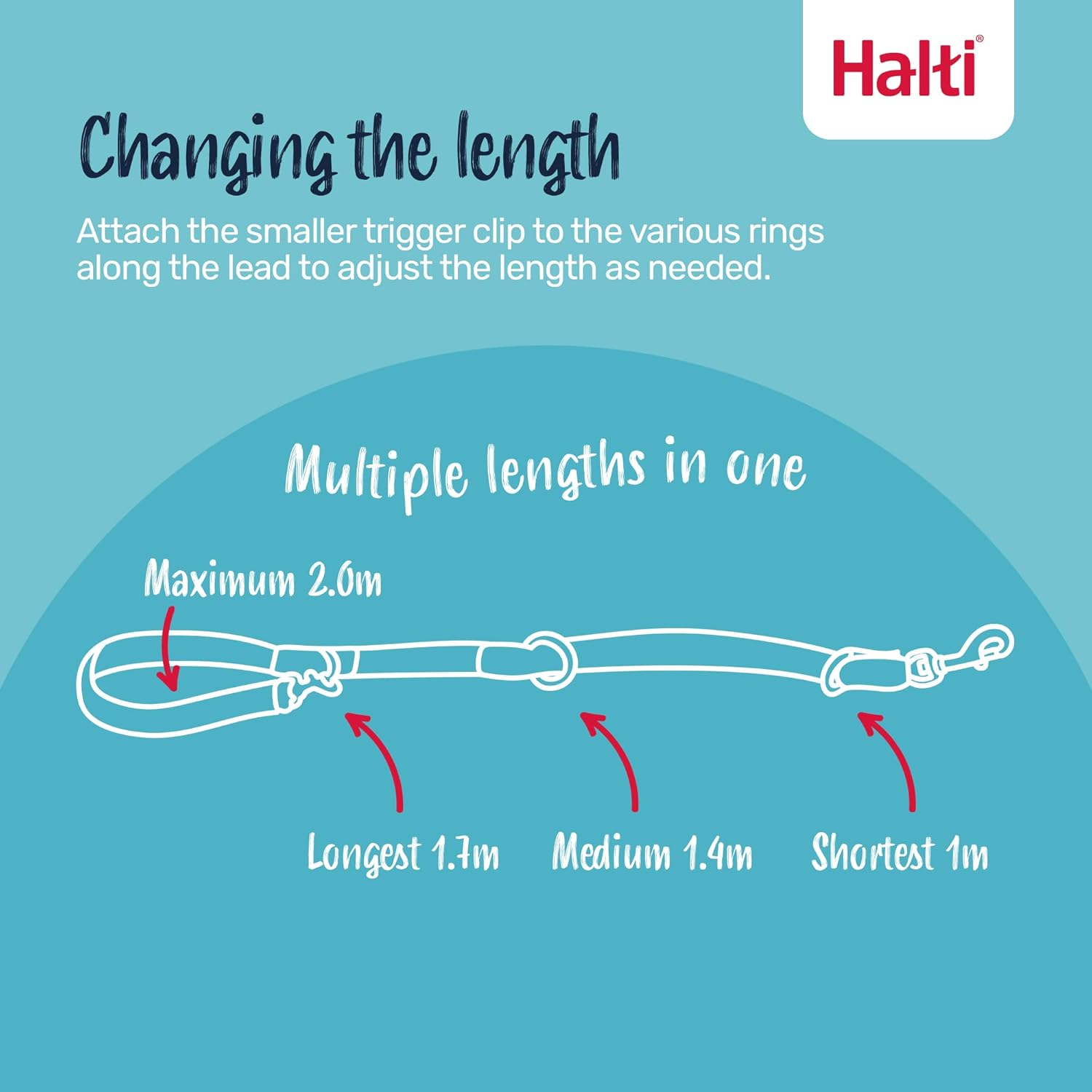 HALTI Headcollar Size 5, Black & HALTI Training Leash Size Large, Black Combination Pack - Stop Your Dog Pulling on the Leash. Adjustable, Lightweight with Padded Nose Band. Suitable for Large Dogs image number 6