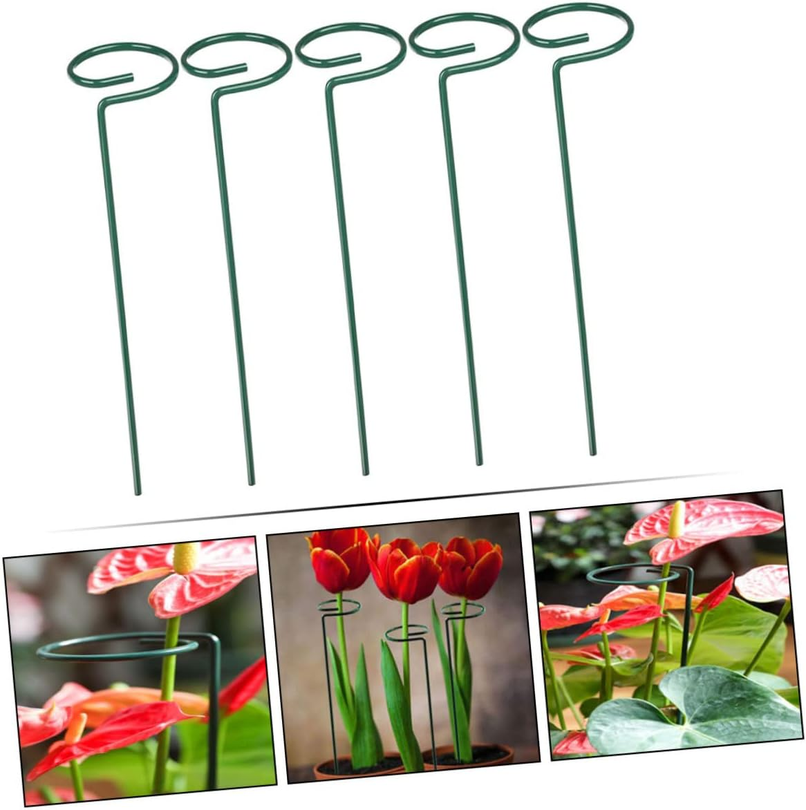 Parliky 2Sets Gardening Plant Stakes Flower Supports Stakes for Climbing Vines 5Pcs*2 image number 1