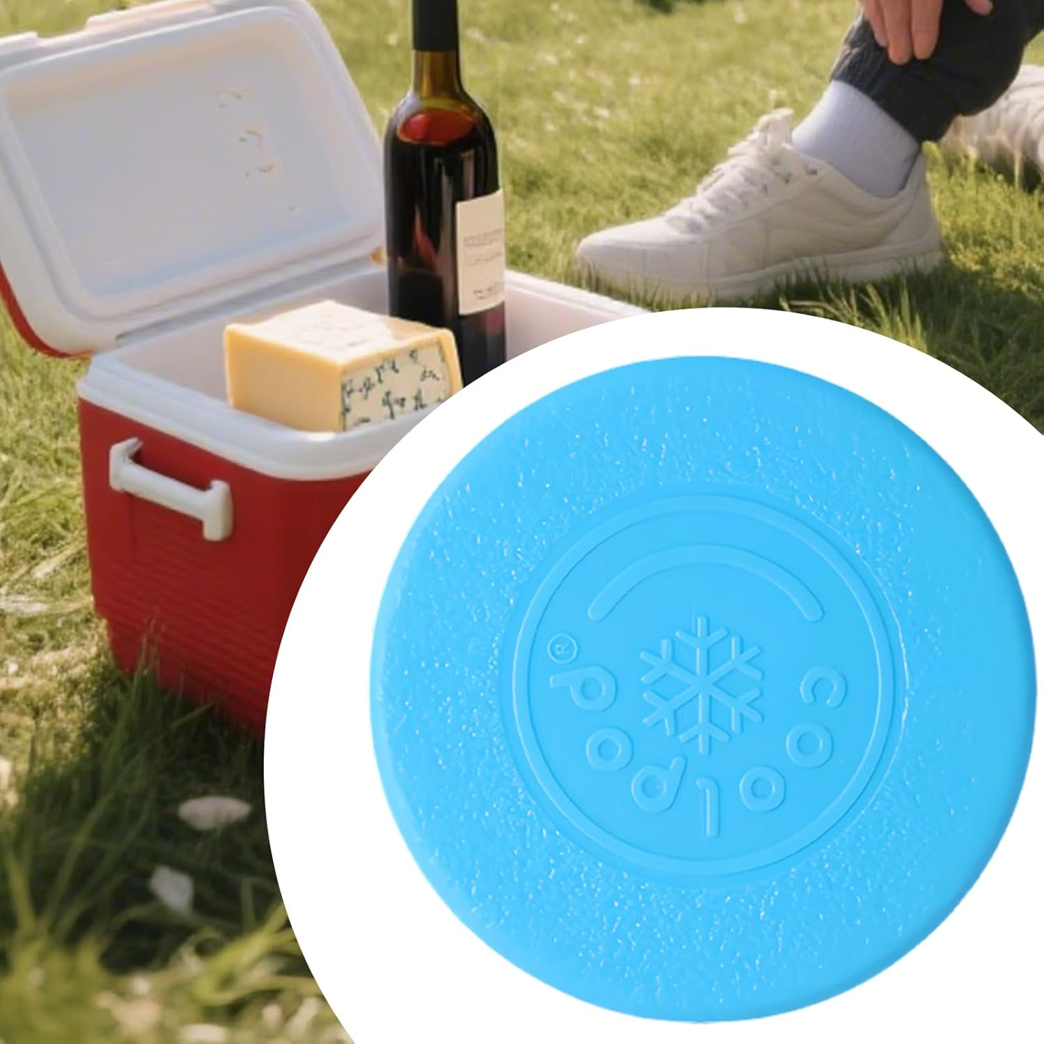 Ice Packs for Lunch Boxes | Leakproof Ice Pack,Refreezable Portable Box for Small Pet House Cooling Beach Outdoor Picnic Hiking Work Travel image number 1