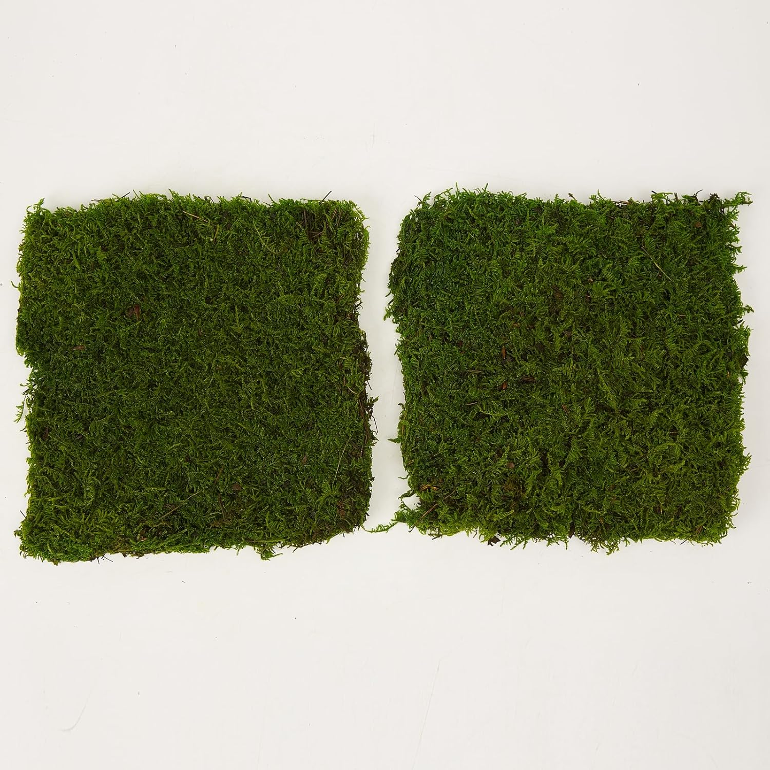 Prefleur Preserved Sheet Moss Natural Green Decorative Real Natural Green DIY Kit Gardenning Art Wall Decor Florist Decor Easter Table Decor Wedding 2 Sq.Ft.Green-B image number 3