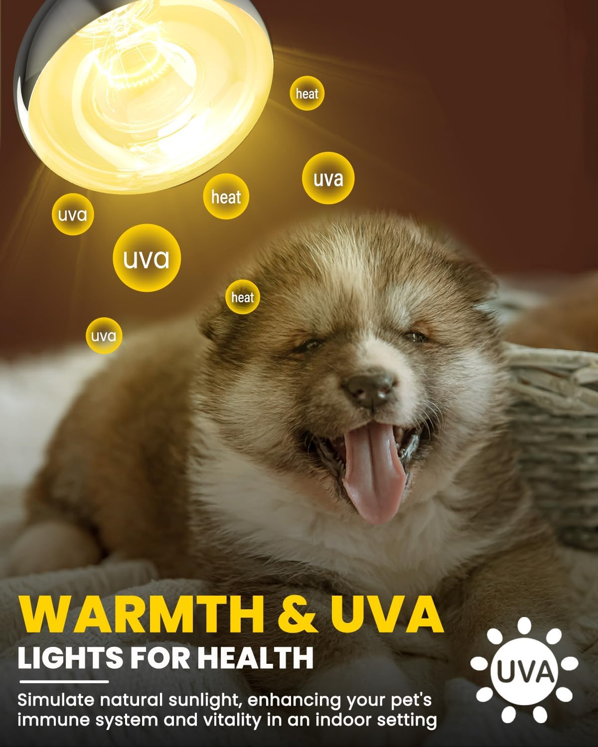 Glowup 250 W Heat Bulbs E27 Set - 1 X Infrared Red Light Lamp Heat Lamp + 1 X Daylight Heating Bulb for Chicken Coop Heating, Rabbits, Puppies, Piglets, Lambs, Kittens, Reptiles image number 6